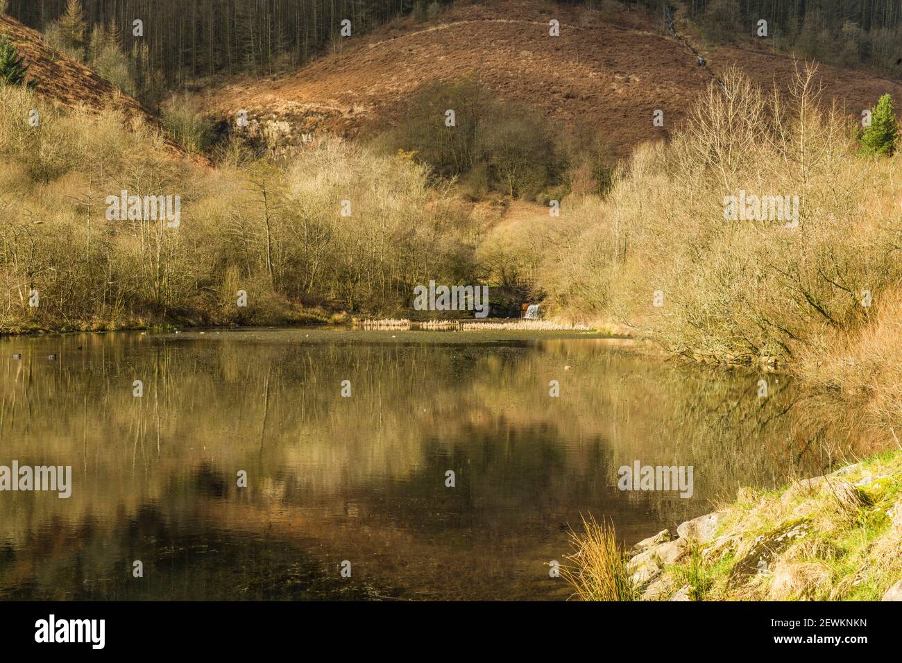 The Upper Pond of the two at the top of Clydach Vale in the Rhondda
