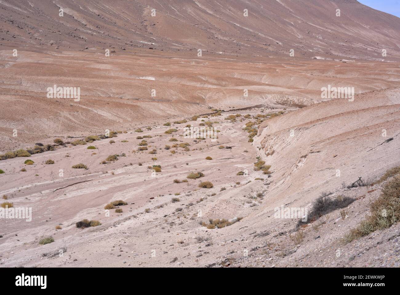 Dry riverbed. Atacama Desert between Arica and Putre, Norte Grande de Chile, Region de Arica y Parinacota. Stock Photo