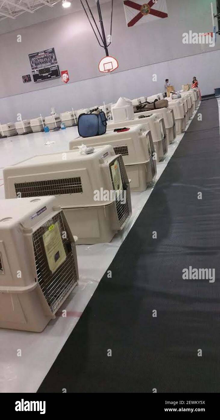 The cages are lined up at the pet shelter in Tamarac, Fla. (Photo by