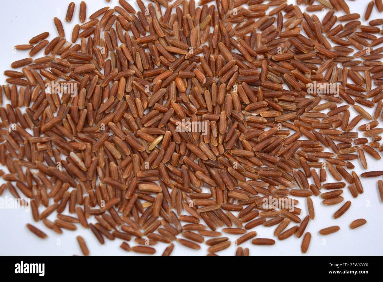 Wild unwanted red rice raised on a white background Stock Photo - Alamy
