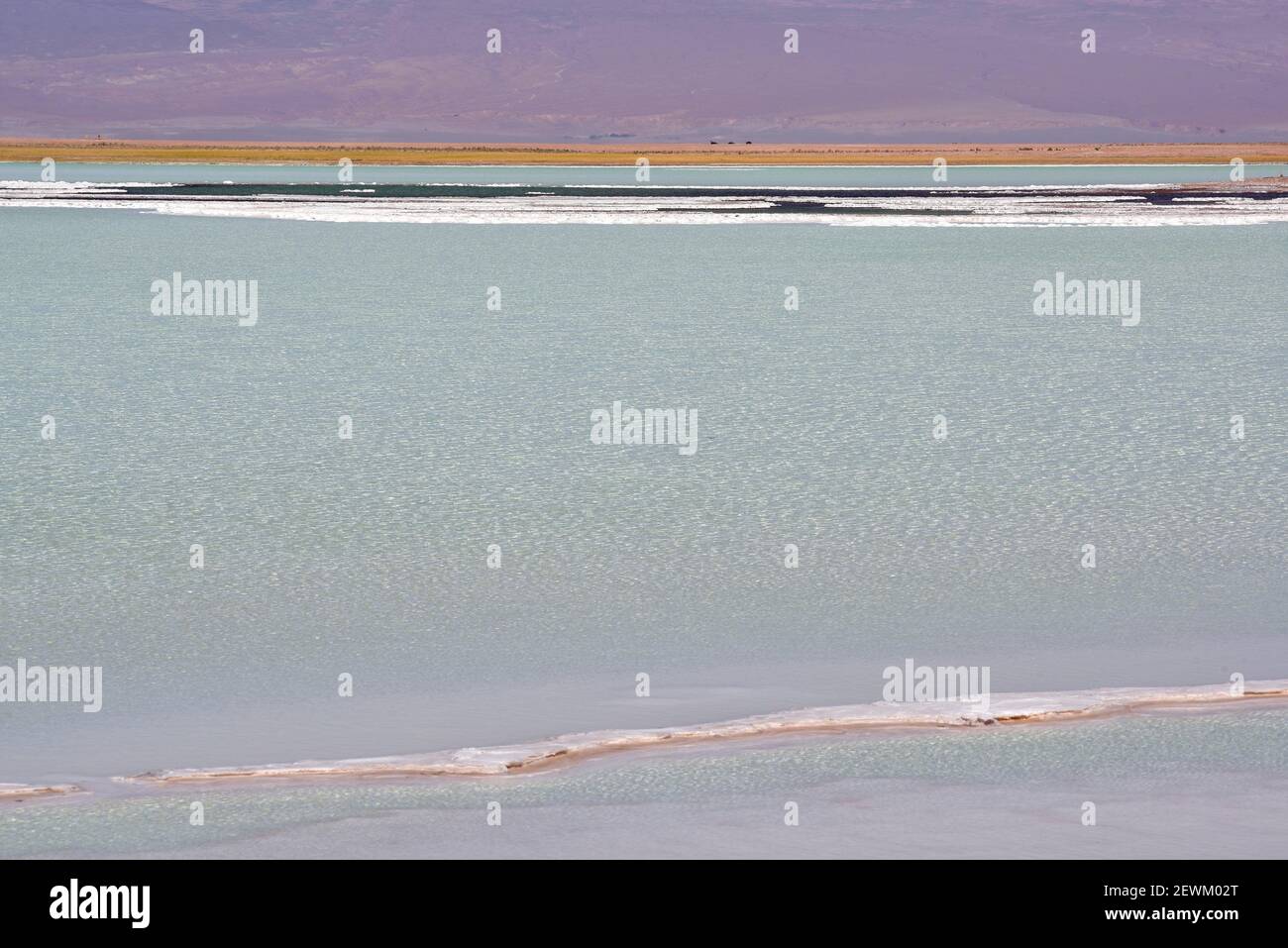Laguna Tebenquiche. Salar de Atacama, Antofagasta, Chile. Stock Photo