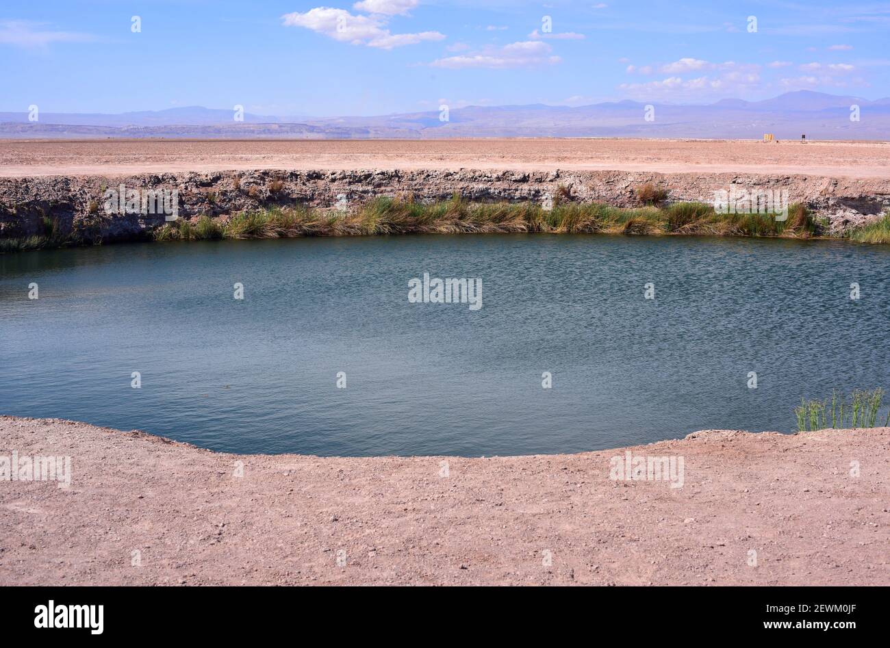 Ojos del Salar (Salt Flat Eyes) is a little fresh water lagoon. Salar de Atacama, Antofagasta, Chile. Stock Photo