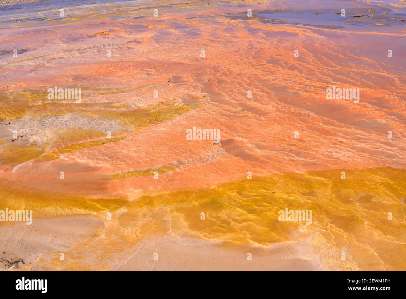 El Tatio Geyser Field. Extremophiles microorganisms (Archaea, Bacteria and Cyanobacteria). San Pedro de Atacama, Antofagasta, Chile. Stock Photo