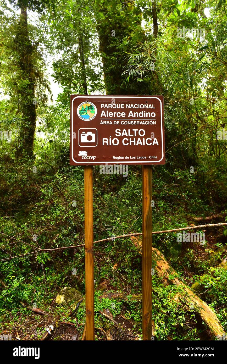 Bosque templado lluvioso hi-res stock photography and images - Alamy