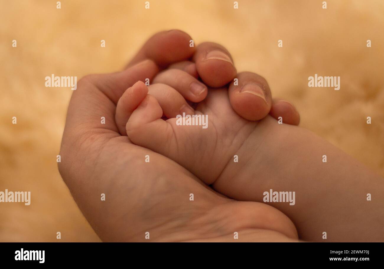Hand and Feeds from a Mother and her baby Stock Photo