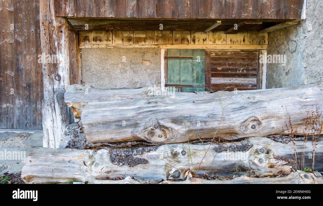 Front view great gray hi res stock photography and images Alamy Front view great gray hi res stock photography and images Alamy