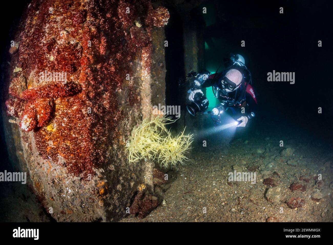 Scuba Diver inside the Fang Ming Wreck, La Paz, Baja California Sur, Mexico Stock Photo