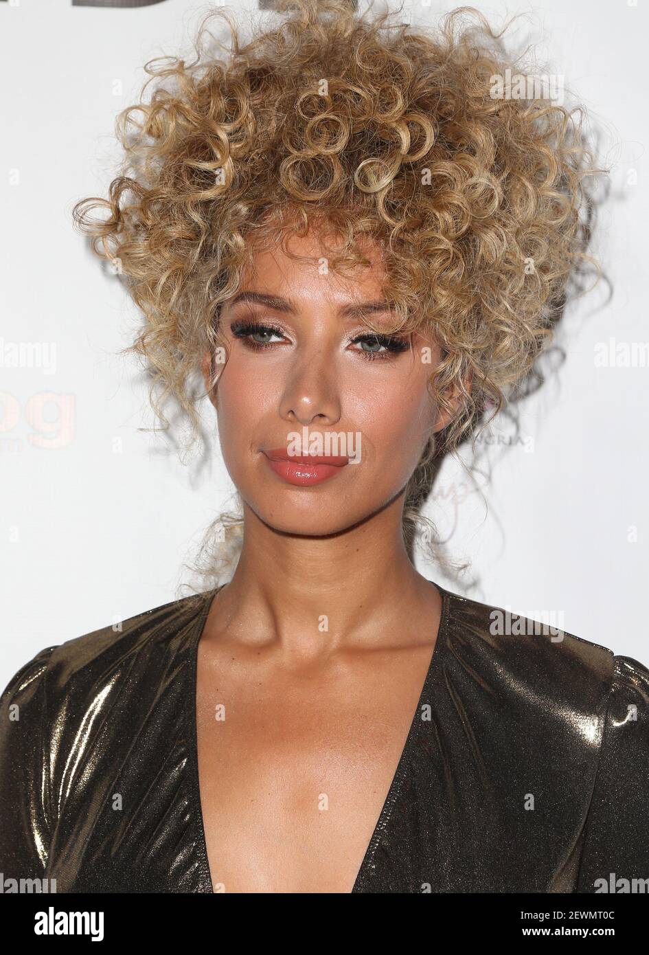 Leona Lewis attending Vanderpump Dogs Foundation Gala held at The Who