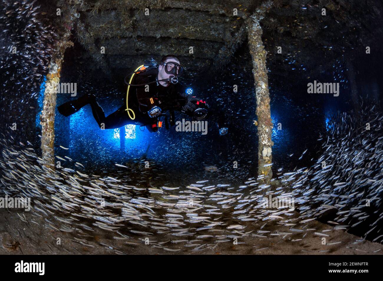 Scuba Diver inside the HMAS Brisbane Wreck, Sunshine Coast, Queensland, Australia Stock Photo