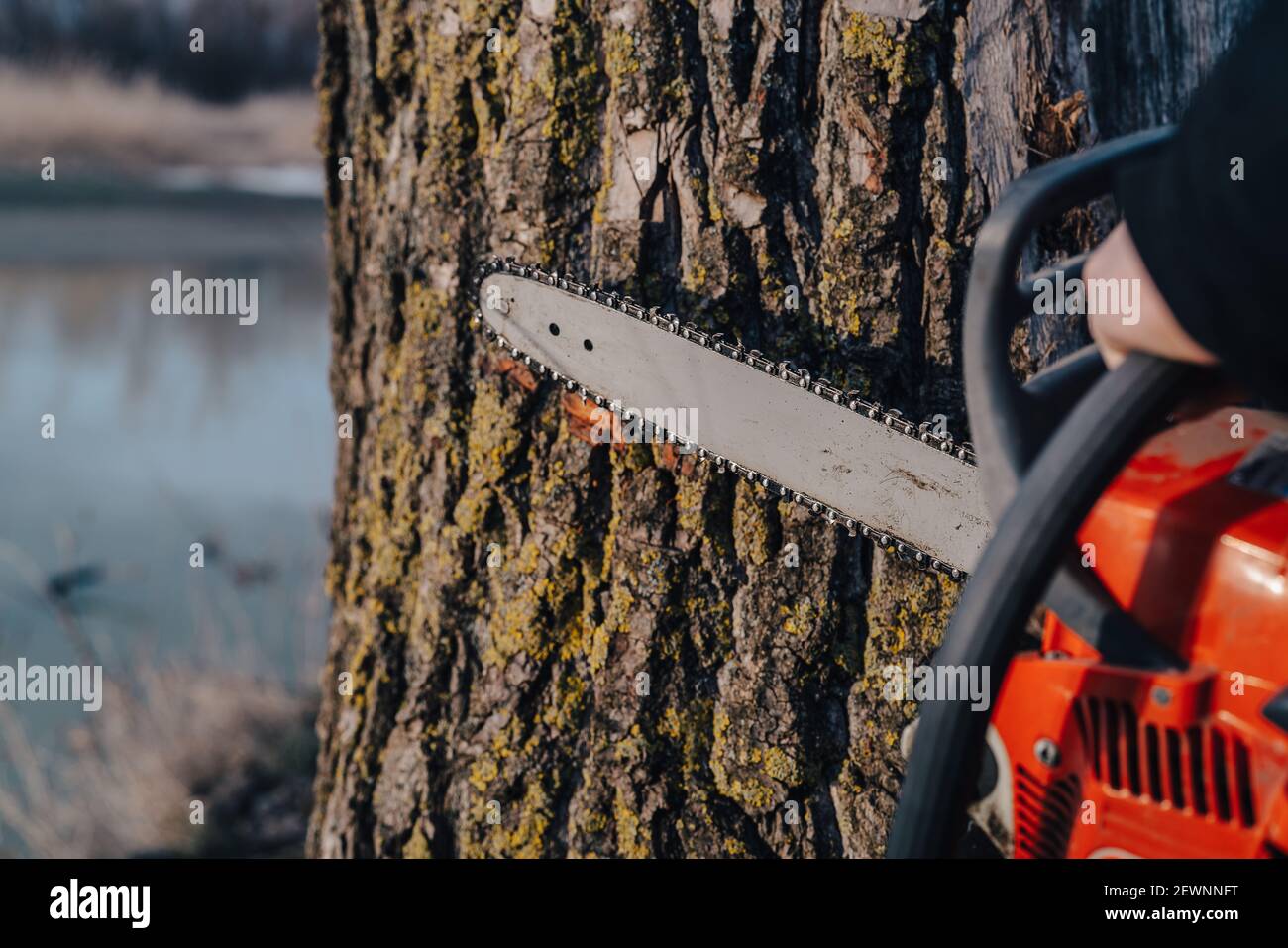 Resource decisions hi-res stock photography and images - Alamy