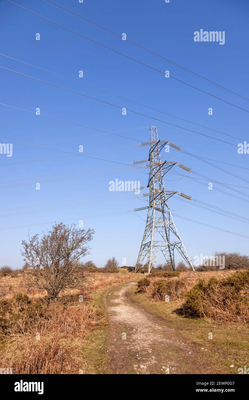 Electricity pylon and cables against a blue sky Stock Photo