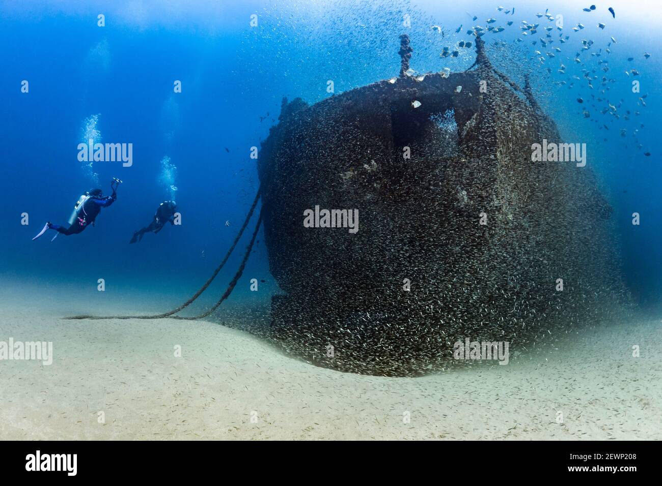 Scuba Divers next to the HMAS Brisbane Wreck, Sunshine Coast, Queensland, Australia Stock Photo