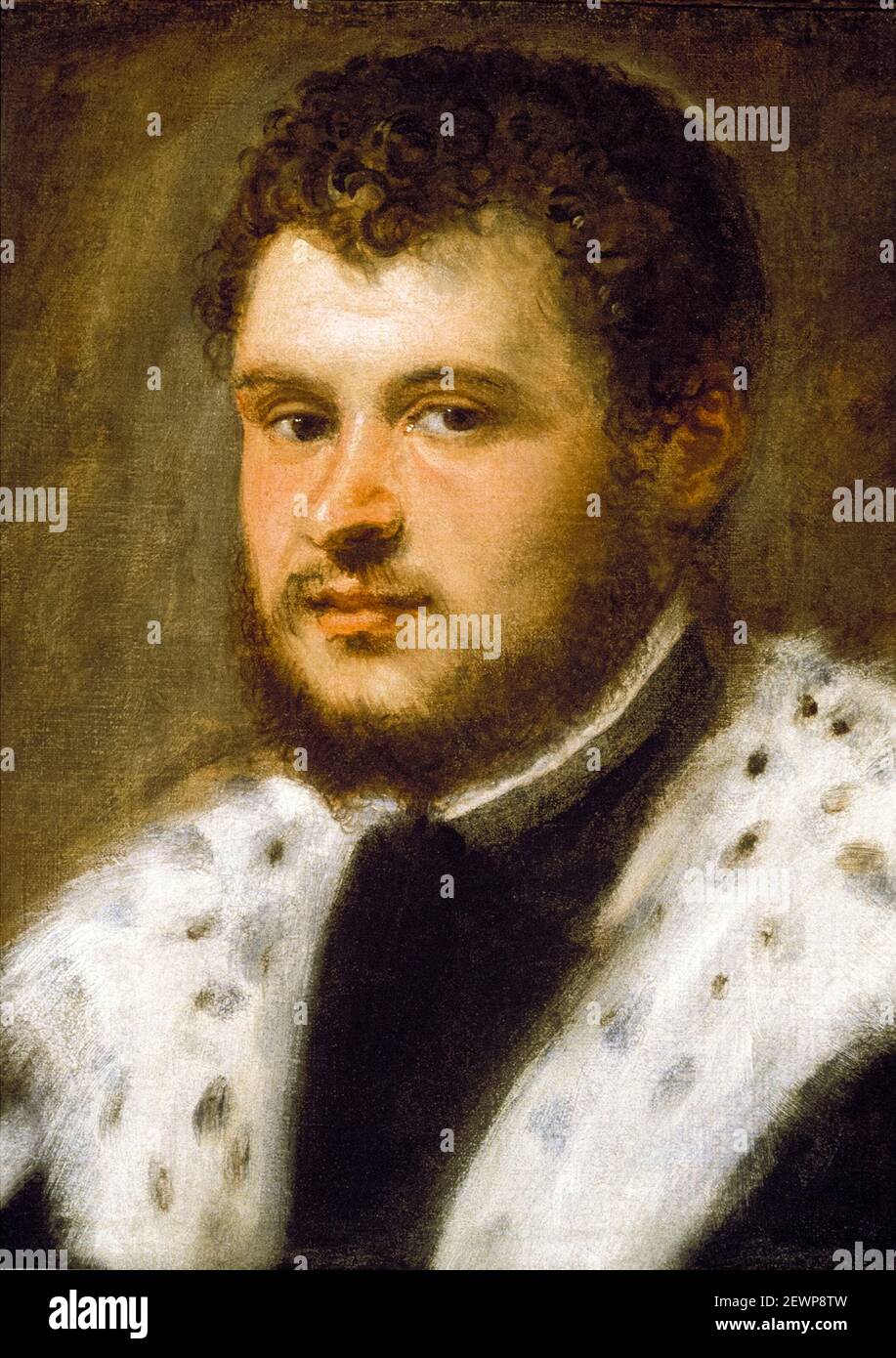 Young Man with a Beard, portrait painting by Jacopo Tintoretto, circa 1555 Stock Photo