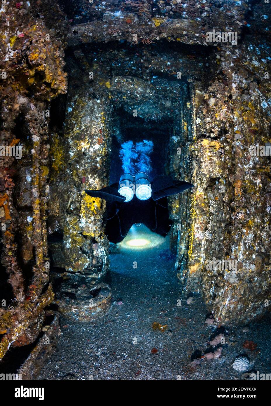 Scuba Diver inside the HMAS Brisbane Wreck, Sunshine Coast, Queensland, Australia Stock Photo