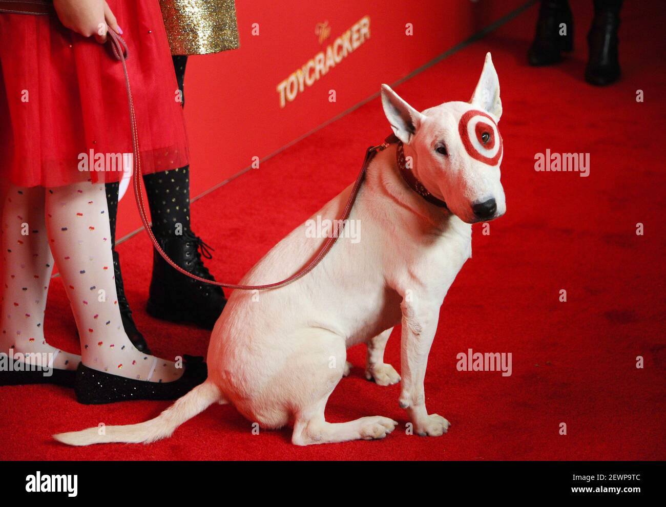 Bullseye the target dog sale