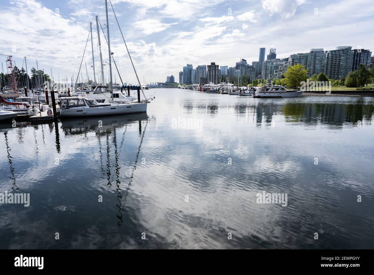 Harbor full of sailing boats with view on downtown, shot in Stanley Park, Vancouver, British Columbia, Canada Stock Photo