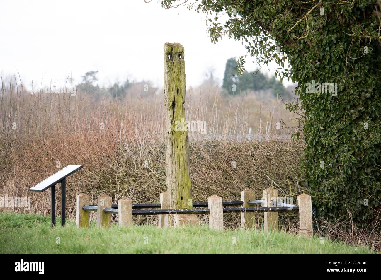 The oak Gibbert post in Bilstone, Leicestershire, that the hanged body of John Massey was chained to after his execution. Stock Photo
