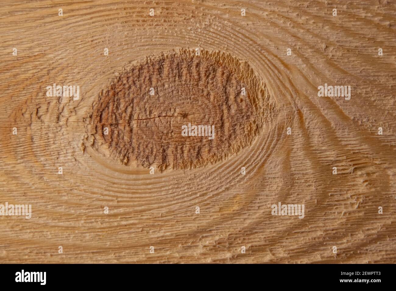 Wood texture after machining with a large knot in the middle close-up ...