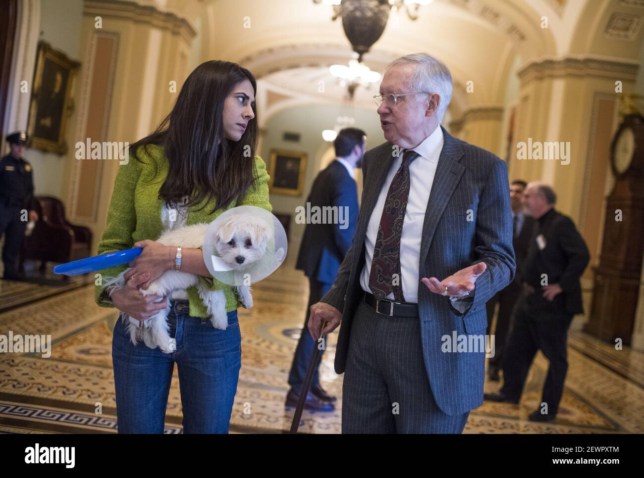 UNITED STATES - DECEMBER 15: Senate Minority Leader Harry Reid, D-Nev., talks with counsel Ayesha Khanna and her dog JoJo, in the Ohio Clock Corridor, December 15, 2016. (Photo By Tom Williams/CQ Roll Call) *** Please Use Credit from Credit Field *** Stock Photo