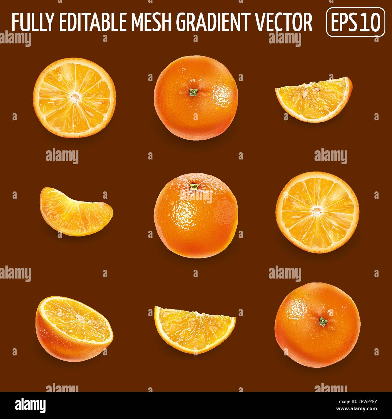 Delicious ripe oranges on Stock Vector Images - Alamy