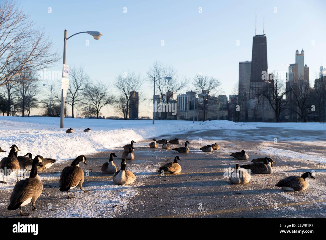 Chicago weather cheap canada goose