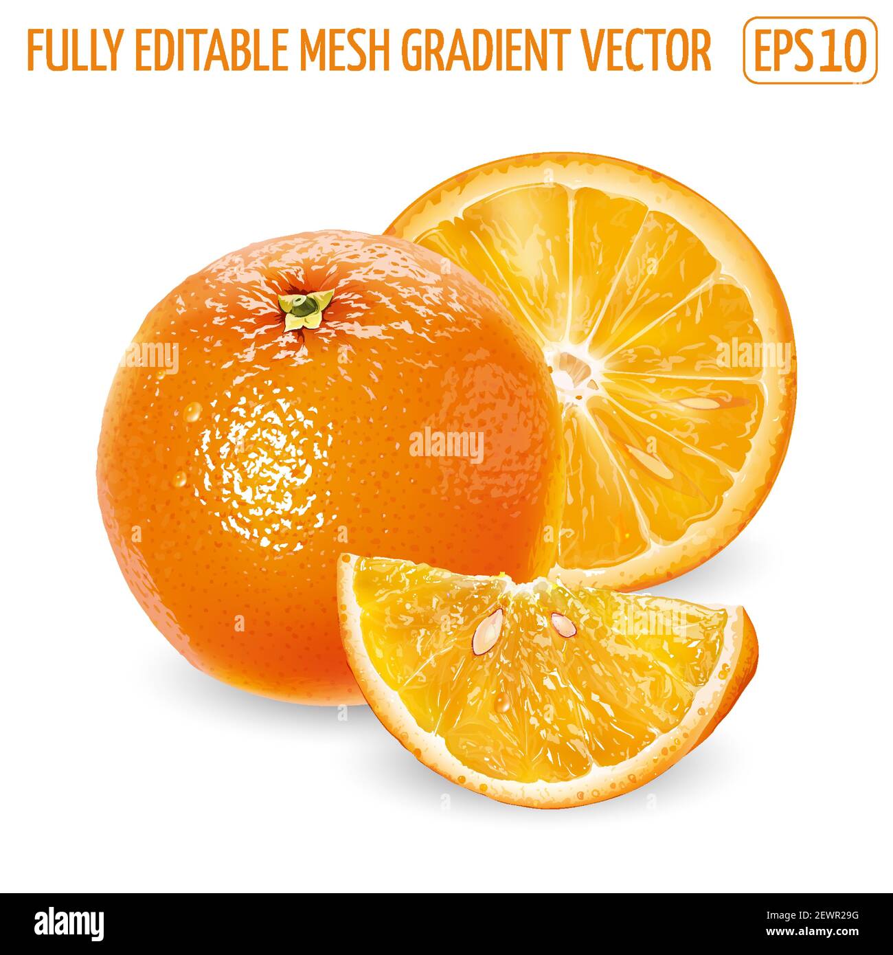 Whole orange with slices on a white background Stock Vector Image & Art ...