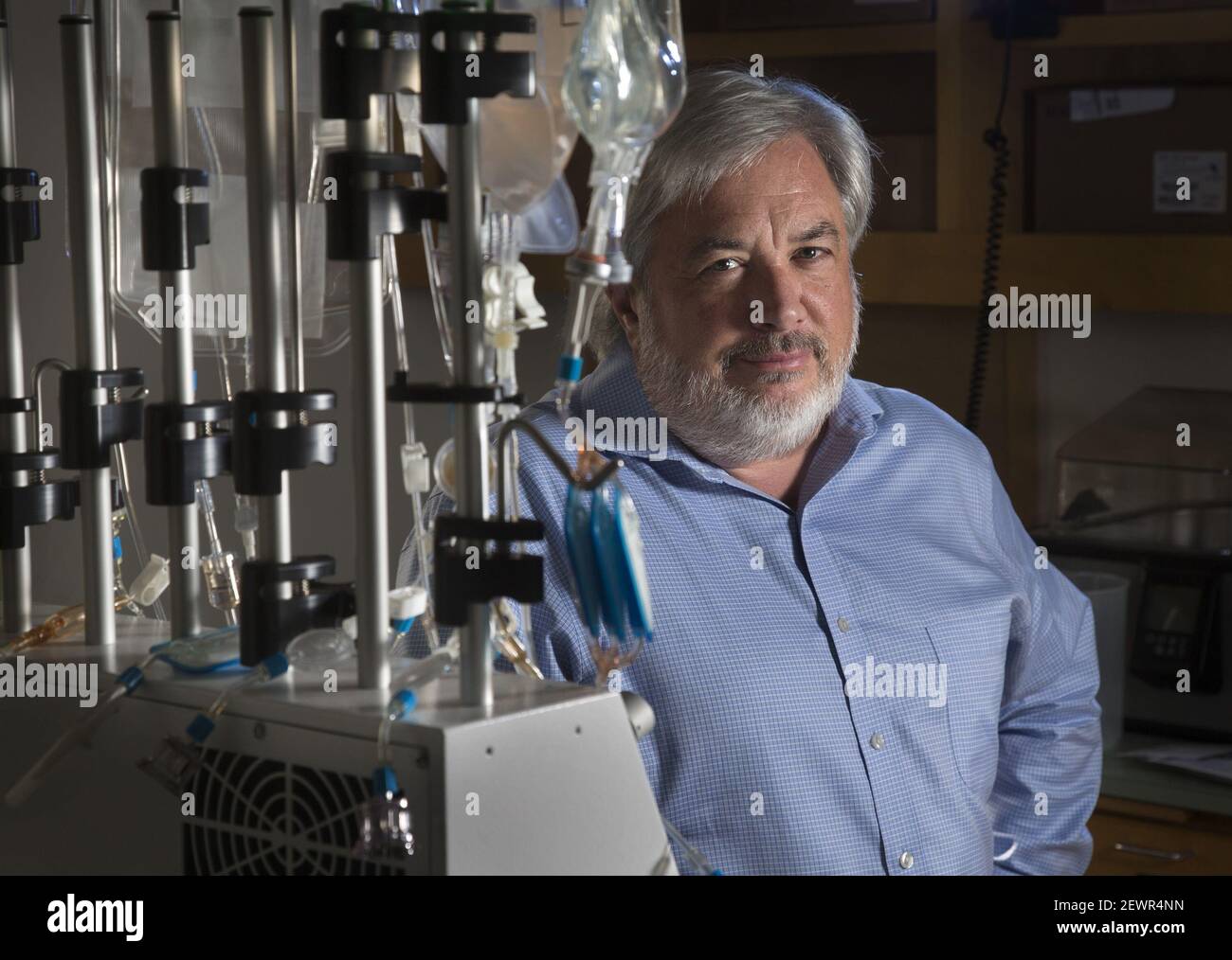 Dr. David DiGiusto directs Stanford's new Laboratory for Cell and Gene Medicine. The university has built a cell manufacturing facility that will generate banks of induced pluripotent stem cells and other specialized tissues such as heart muscle cells, that are derived from stem cells. These cells can be used to test the effects of drugs in a 'clinical trial in a dish' or potentially even used to repair tissues injured by disease or trauma. (Photo by Patrick Tehan/Bay Area News Group/TNS) *** Please Use Credit from Credit Field *** Stock Photo