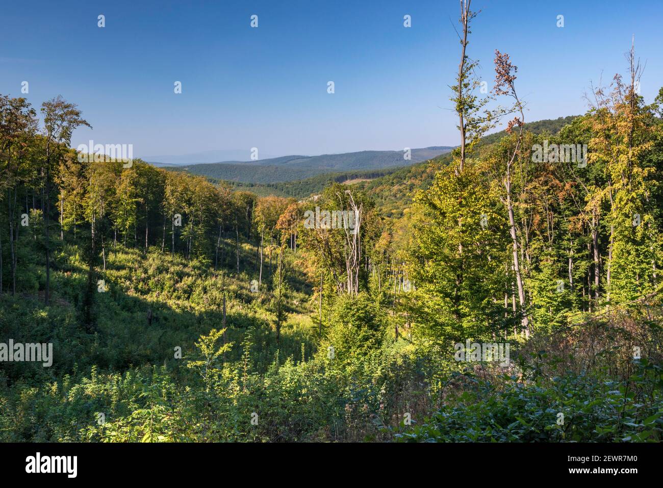 Bukk mountains, Bukki National Park, Hungary, Central Europe Stock Photo