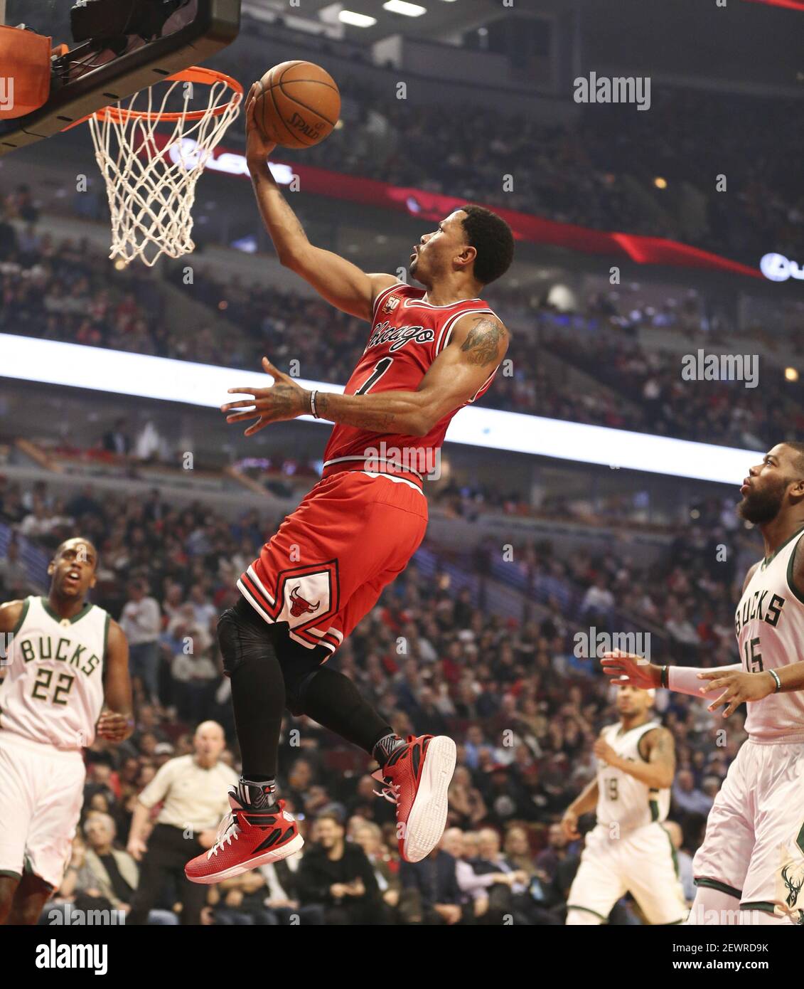 Basketball - Derrick Rose - Images