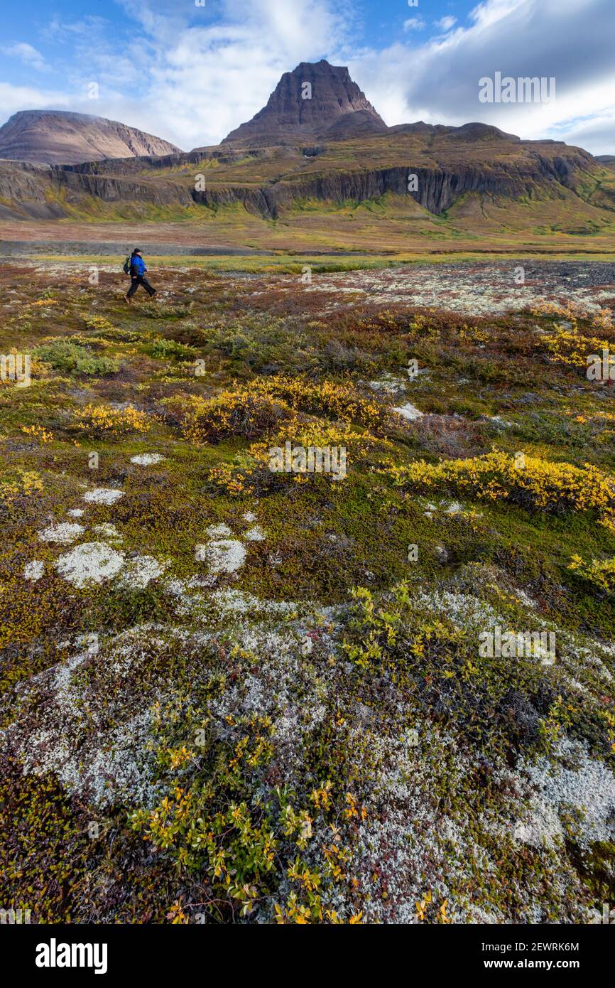 Hiker in open tundra and columnar basalt in Brededal, Disko Island, Qeqertarsuaq, Baffin Bay, Greenland, Polar Regions Stock Photo