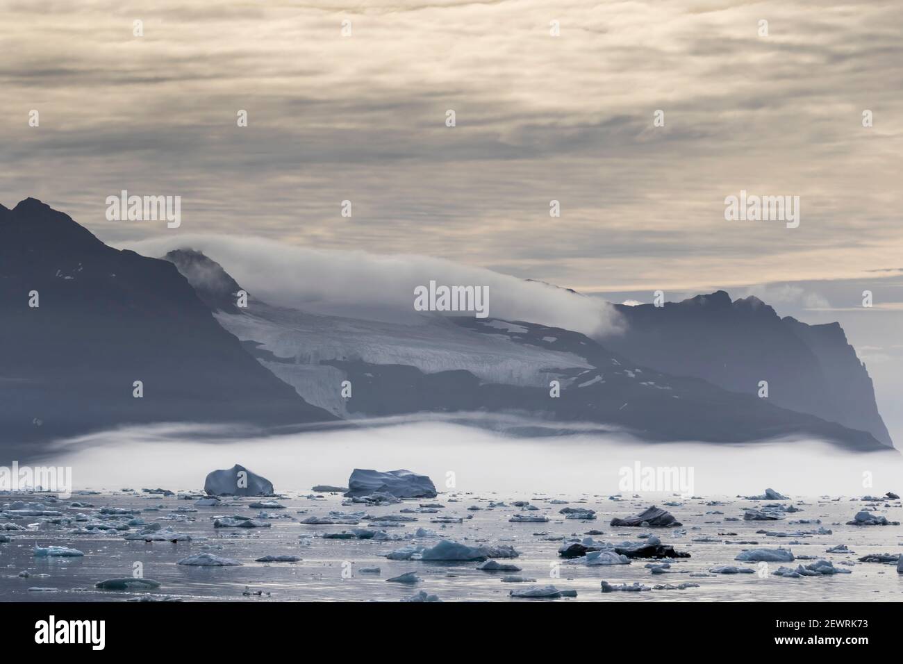 Sea ice and icebergs calved from the Christian IV Glacier, Nansen Fjord, eastern Greenland, Polar Regions Stock Photo