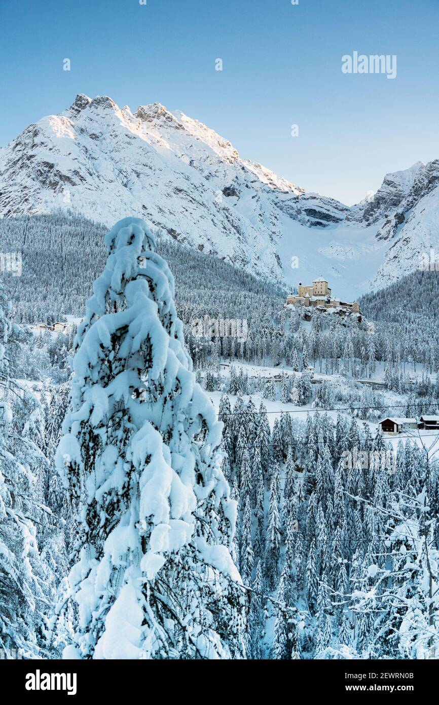 Trees covered with snow in the forest surrounding old Tarasp Castle and mountains, Engadine, Graubunden Canton, Switzerland,  Europe Stock Photo