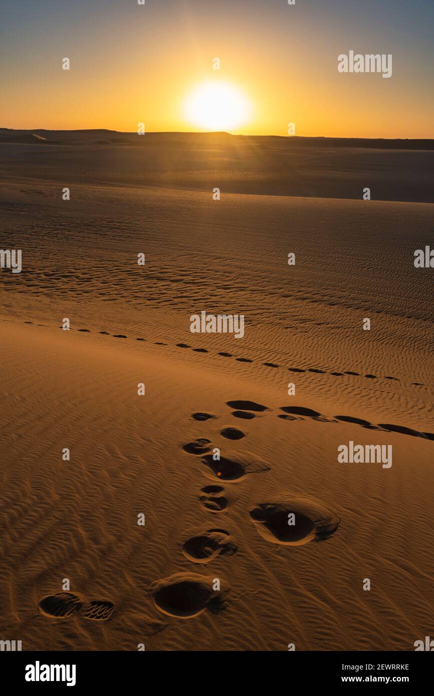 Footprints and sand ripples in the sand dunes of the Tenere Desert, Sahara, Niger, Africa Stock Photo