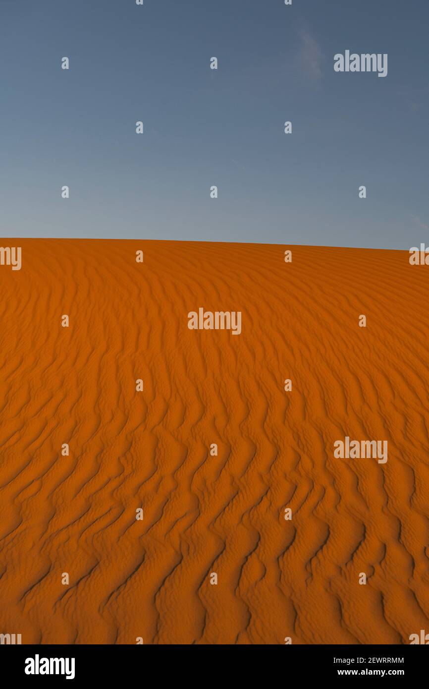 Sand ripples in the sand dunes of the Tenere Desert, Sahara, Niger, Africa Stock Photo