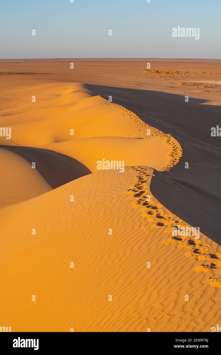 Sand dunes at sunrise, Djado Plateau, Sahara, Niger, Africa Stock Photo
