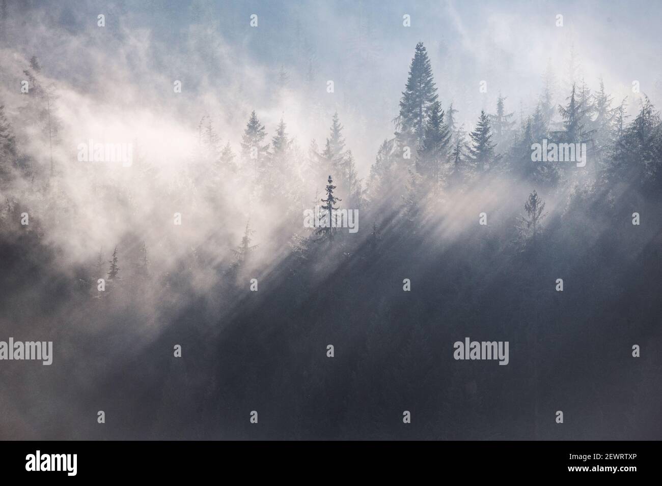 Rake through hi-res stock photography and images - Alamy