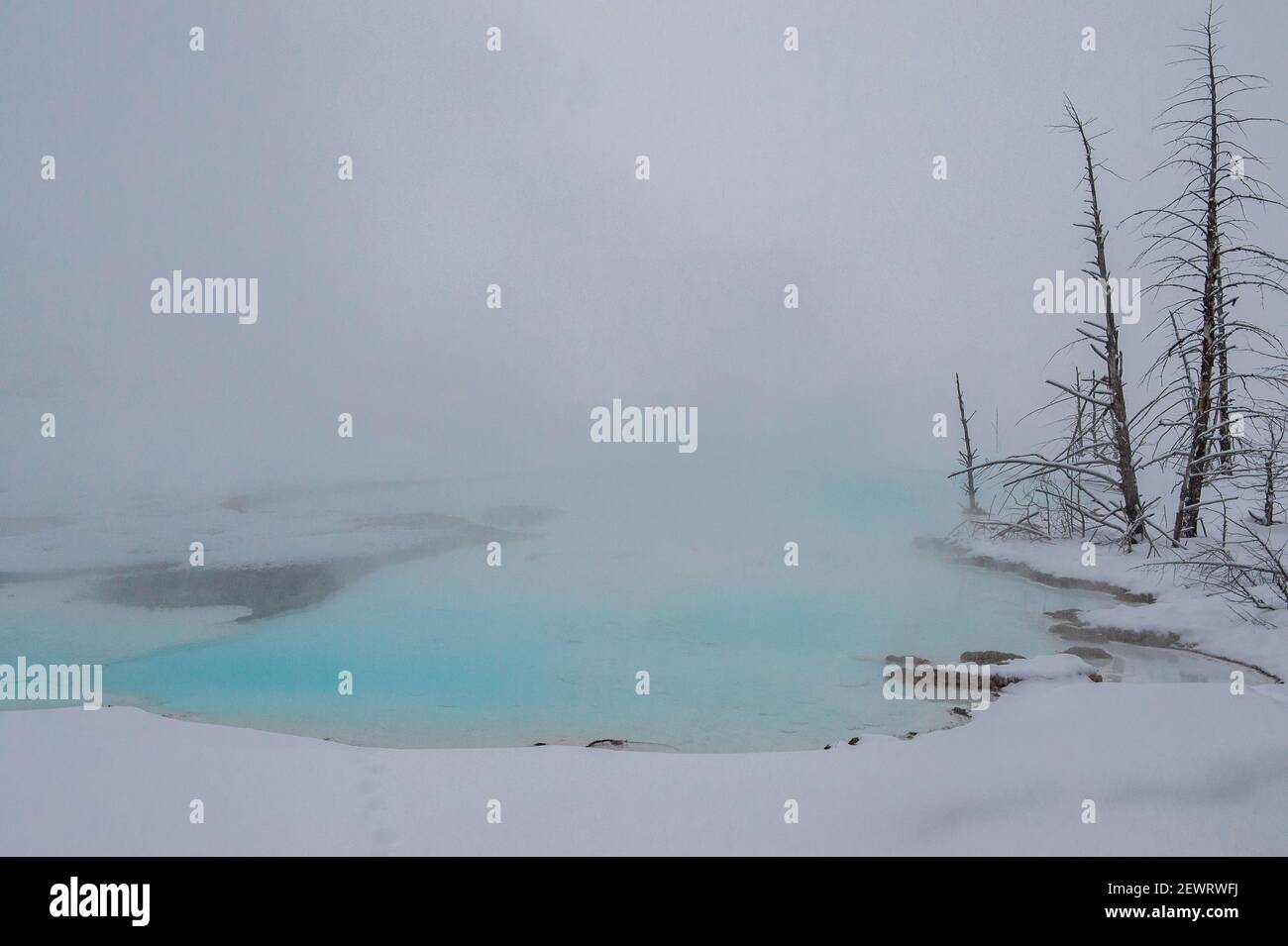 Blue thermal feature shrouded in fog, Yellowstone National Park, UNESCO World Heritage Site, Wyoming, United States of America, North America Stock Photo