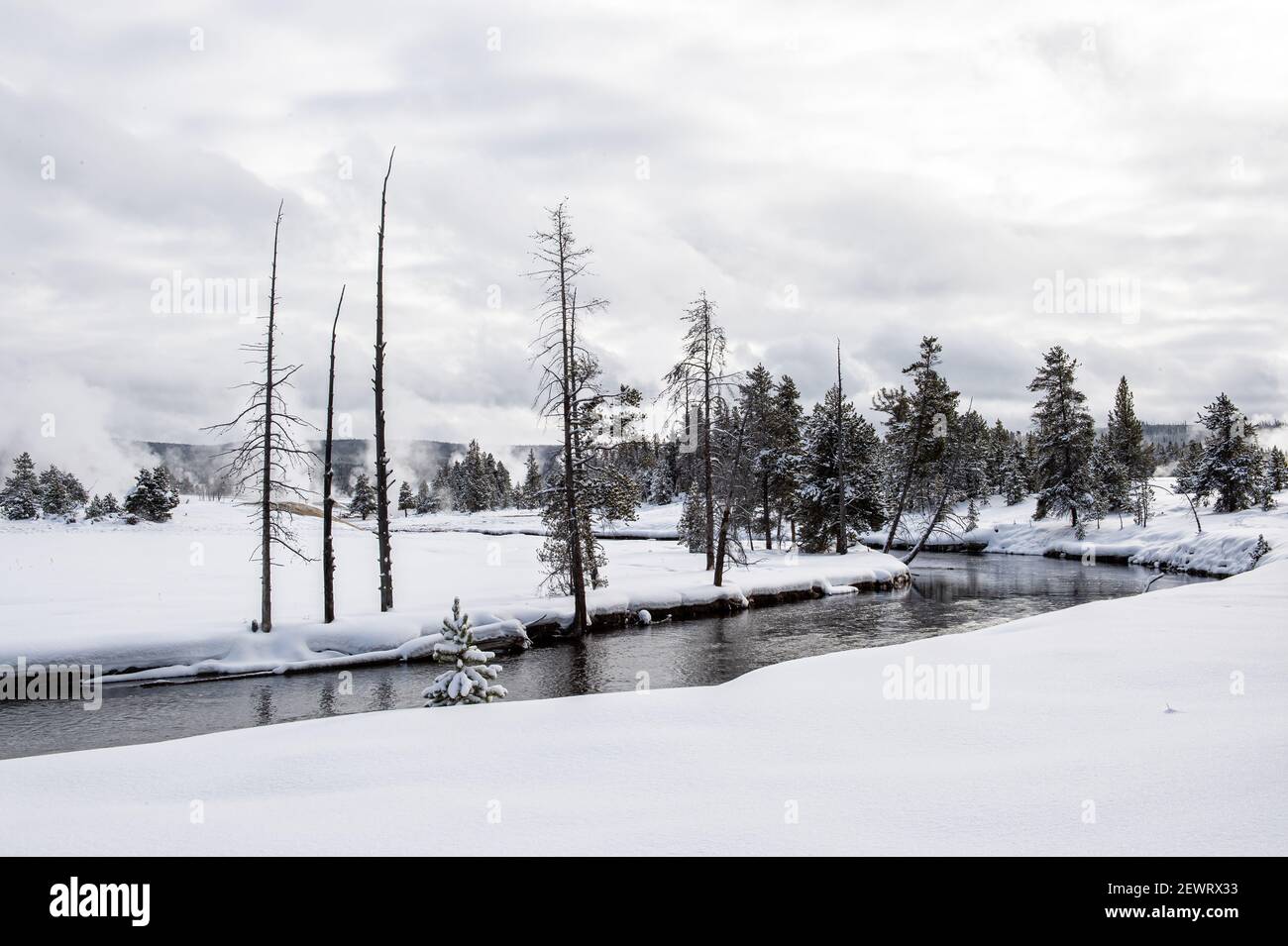 Snowscape of winding river and trees, Yellowstone National Park, UNESCO World Heritage Site, Wyoming, United States of America, North America Stock Photo