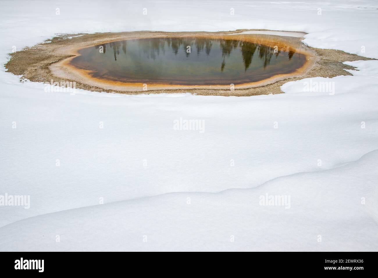 Trees reflected in thermal feature in the snow, Yellowstone National Park, UNESCO World Heritage Site, Wyoming, United States of America Stock Photo