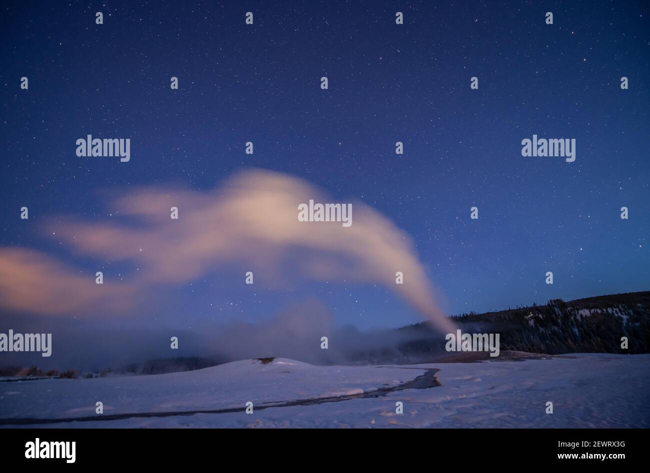 Old Faithful geyser under a starry sky, Yellowstone National Park, UNESCO World Heritage Site, Wyoming, United States of America, North America Stock Photo