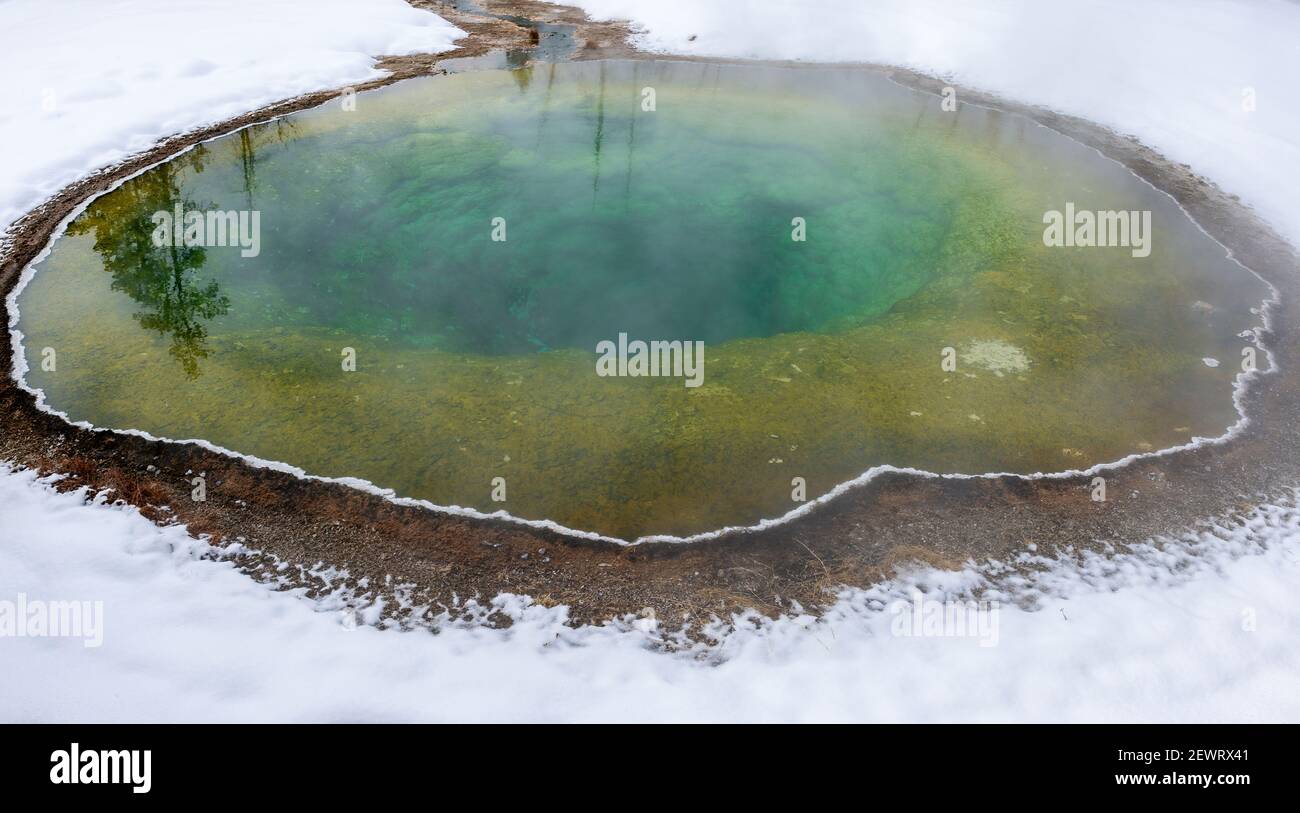 Morning Glory pool hot spring in the snow, Yellowstone National Park, UNESCO World Heritage Site, Wyoming, United States of America, North America Stock Photo