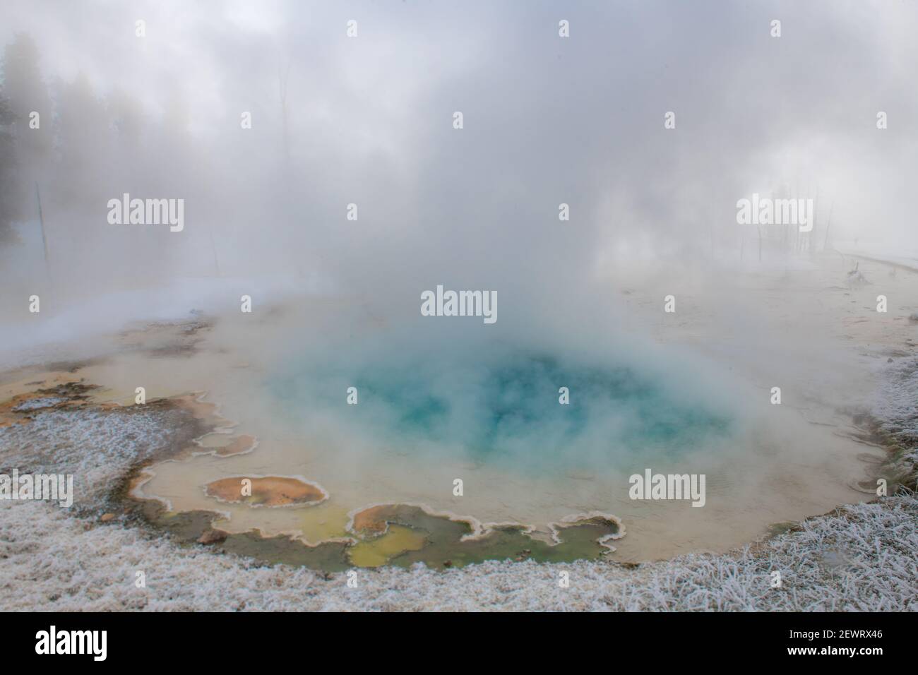 Blue thermal feature in the fog and snow, Yellowstone National Park, UNESCO World Heritage Site, Wyoming, United States of America, North America Stock Photo