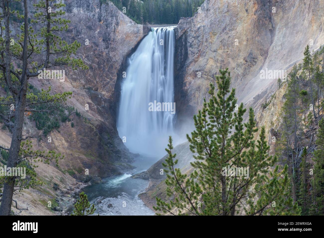 Lower Falls of the Grand Canyon framed in trees, Yellowstone National Park, UNESCO World Heritage Site, Wyoming, United States of America Stock Photo