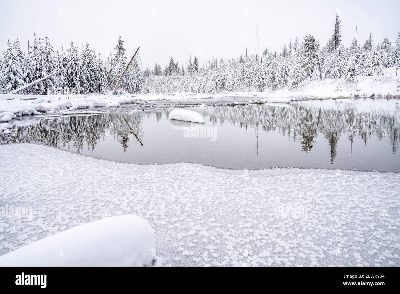 Snowscape reflected in pond, Grand Teton National Park, Wyoming, United States of America, North America Stock Photo