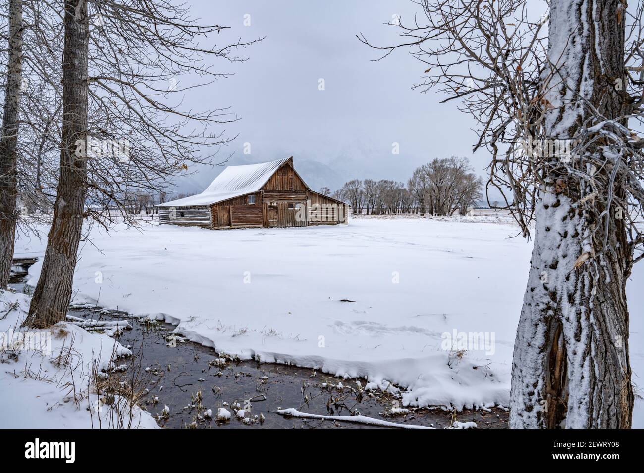 Moulton barn in the snow framed by trees, Grand Teton National Park, Wyoming, United States of America, North America Stock Photo