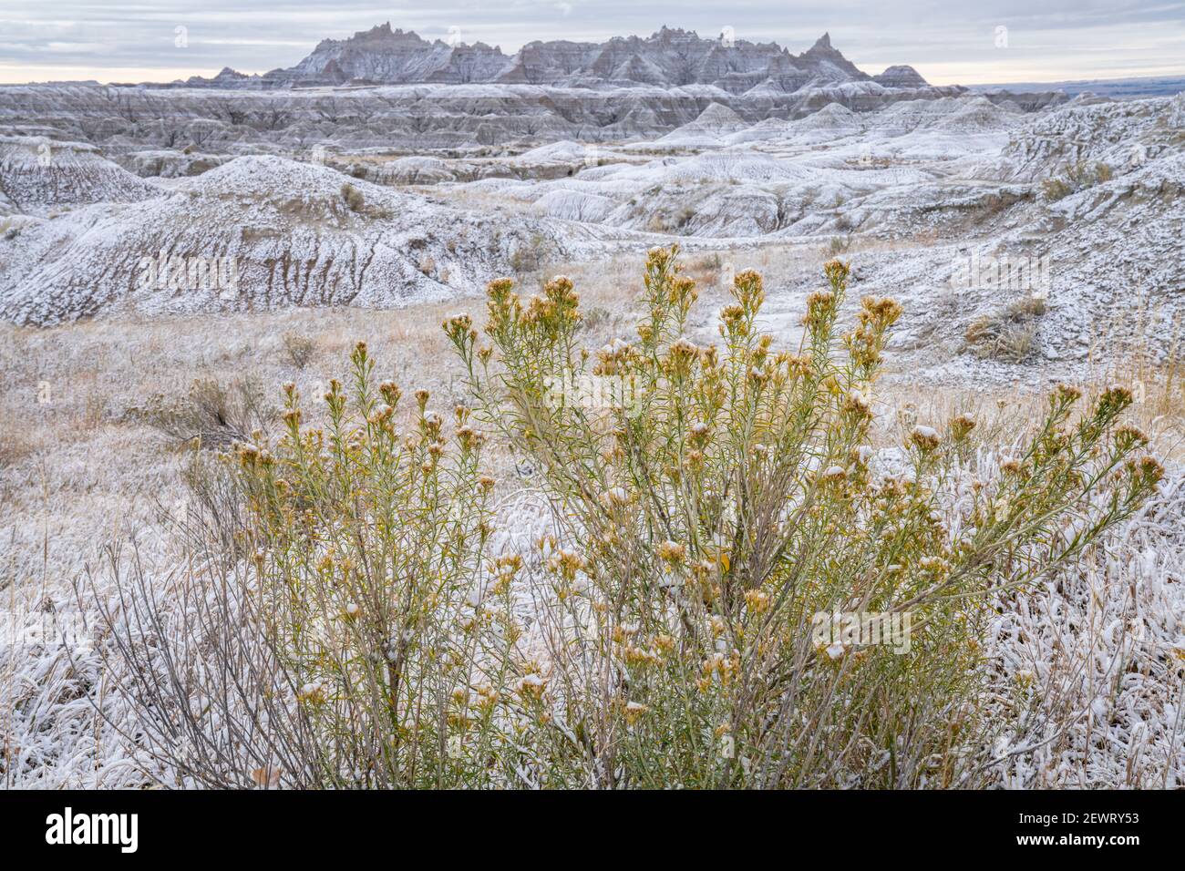 Winter scene in the Badlands, Badlands National Park, South Dakota, United States of America, North America Stock Photo
