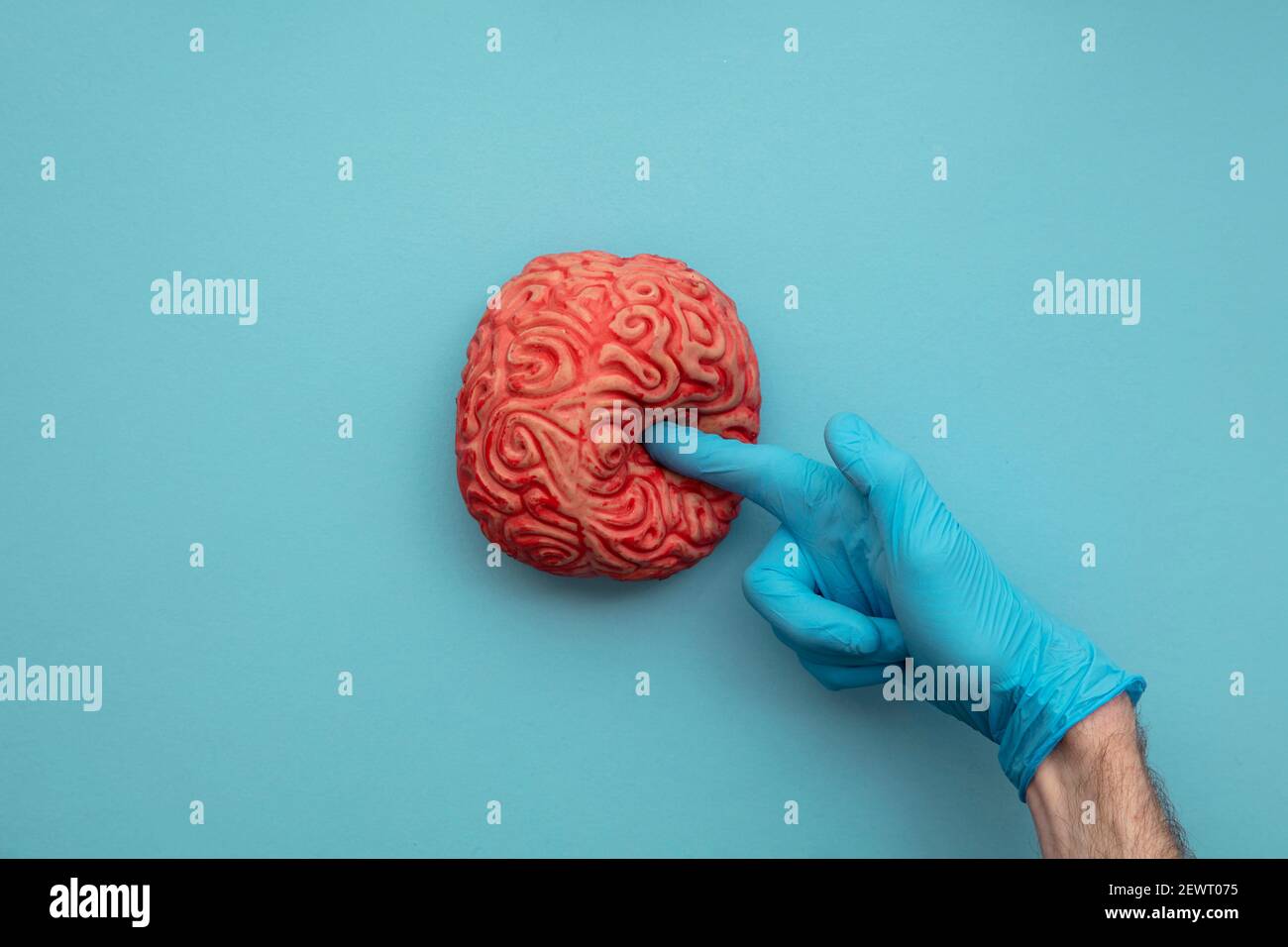 A doctor in blue gloves poking a brain. Mental health concept Stock Photo