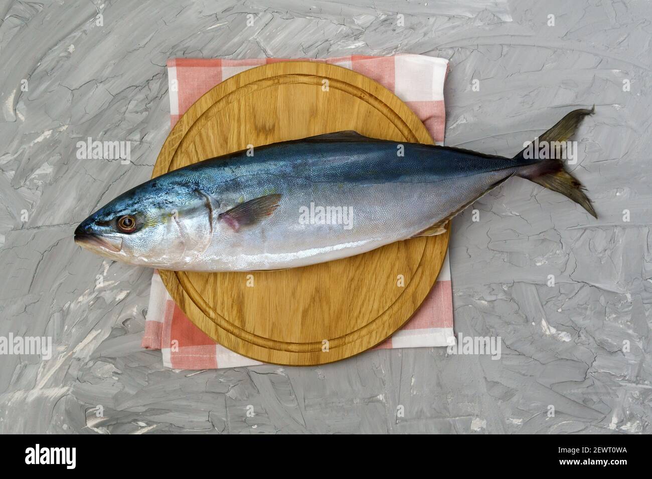 large amberjack seriola is a dumerili on a gray concrete background. top view Stock Photo