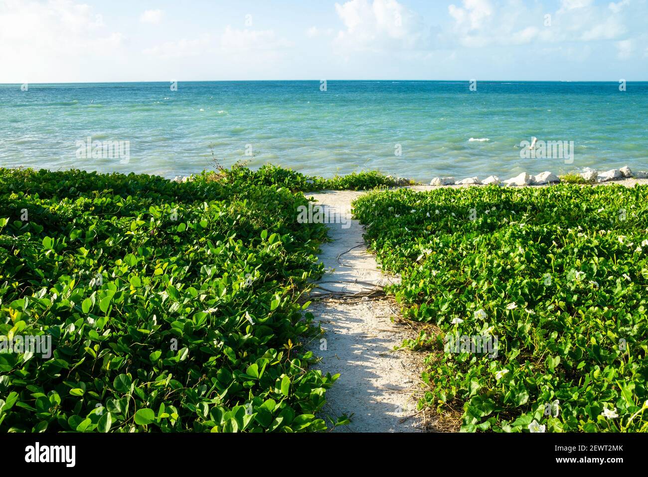 Bahia Honda State Park in the Florida Keys. March 2021 Stock Photo