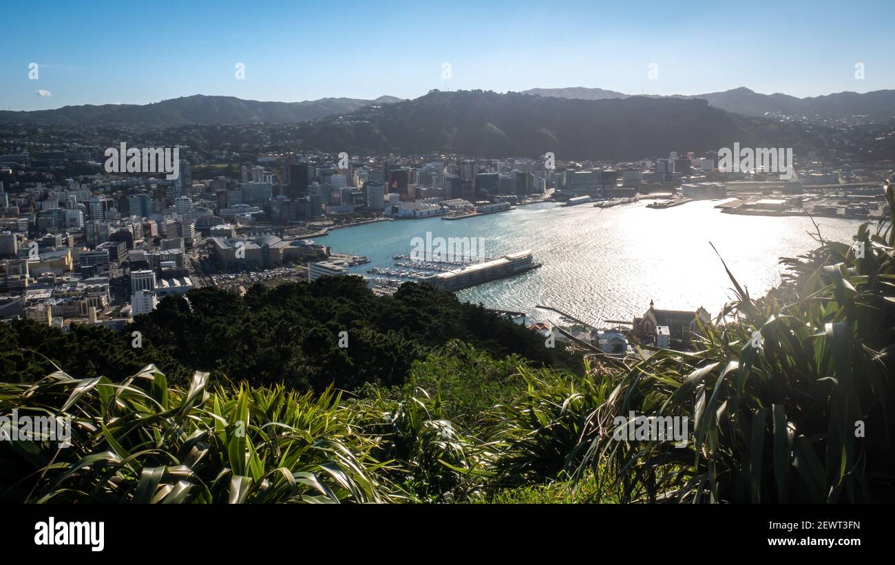 View on Wellington from mountain lookout,Shot from Mount Victoria, Wellington, New Zealand Stock Photo
